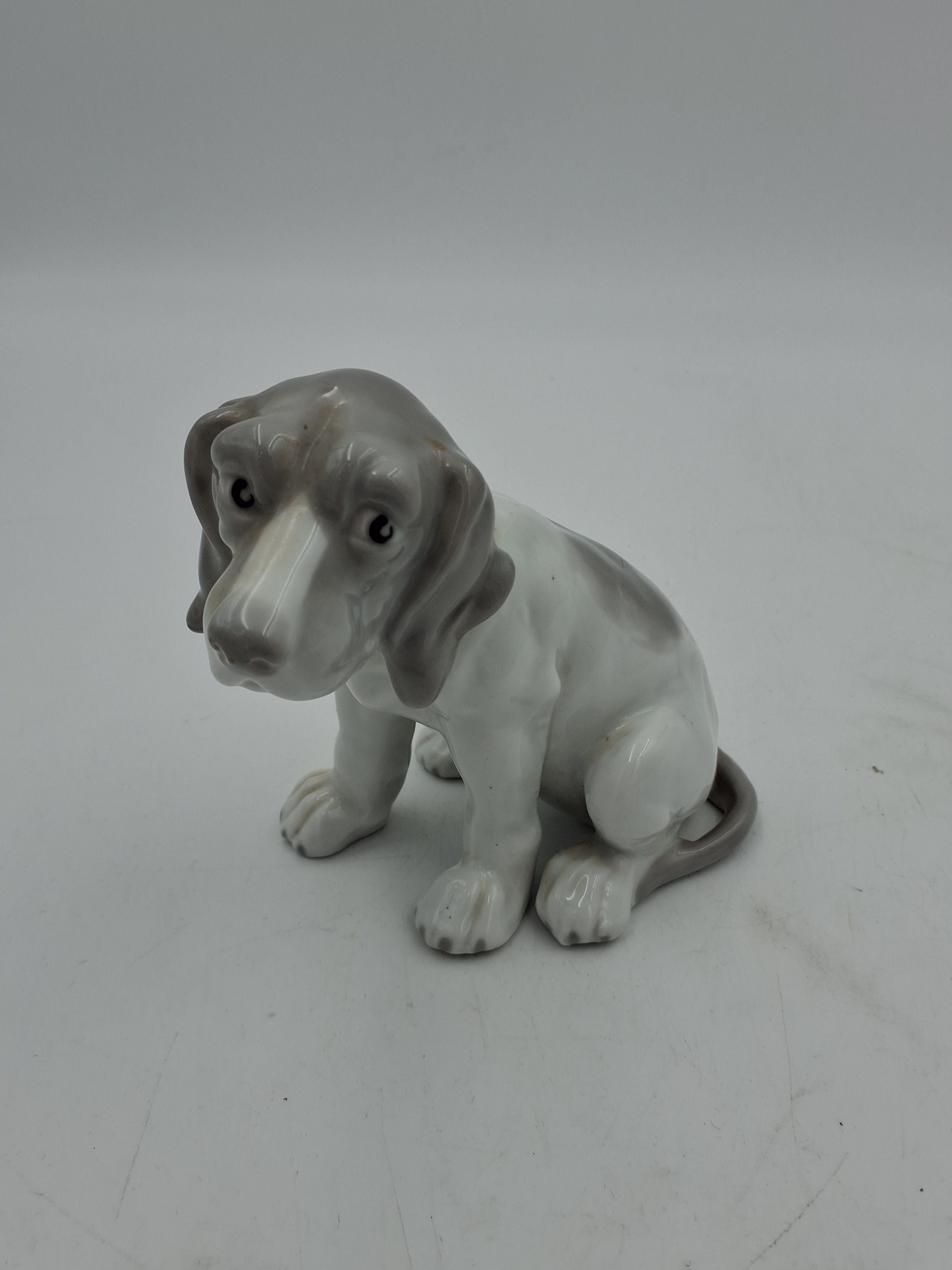 Stor Heubach hund
